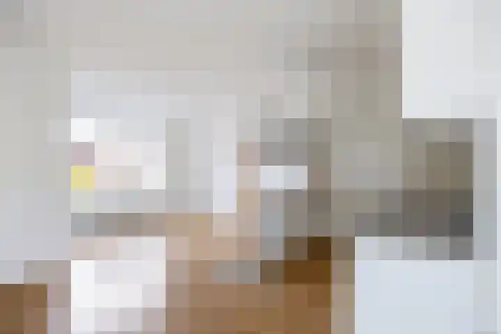 Weverij 3 Winsum thumbnail 12