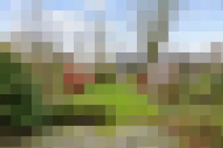 Weverij 3 Winsum thumbnail 25