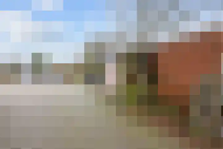 Weverij 3 Winsum thumbnail 28
