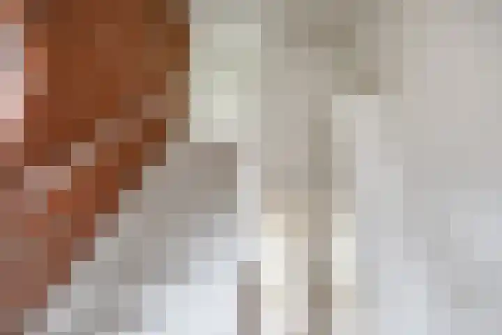 Weverij 3 Winsum thumbnail 4