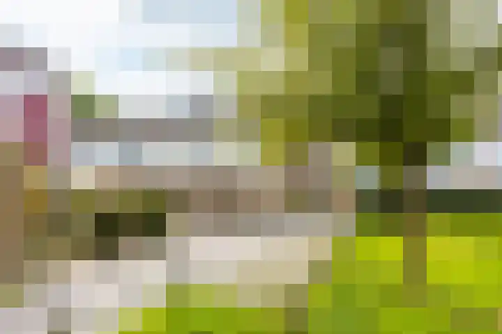 Weverij 36 Gorredijk thumbnail 10