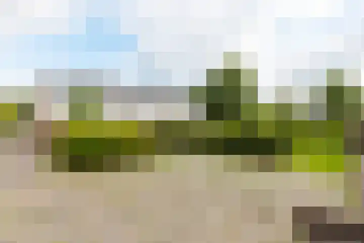 Weverij 36 Gorredijk thumbnail 11