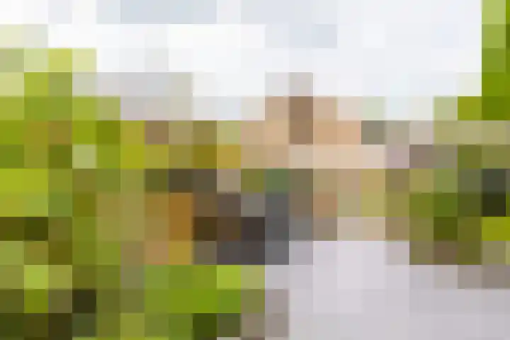 Weverij 36 Gorredijk thumbnail 15