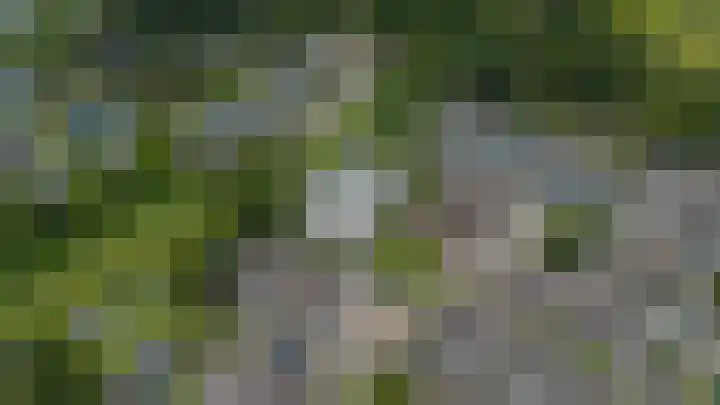Weverij 36 Gorredijk thumbnail 19