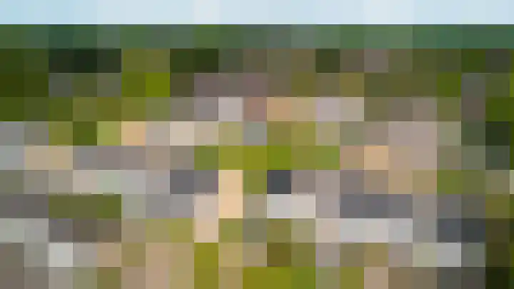 Weverij 36 Gorredijk thumbnail 21