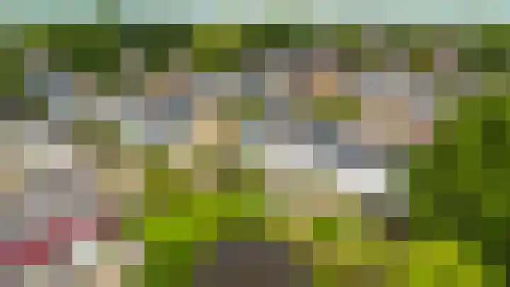Weverij 36 Gorredijk thumbnail 22