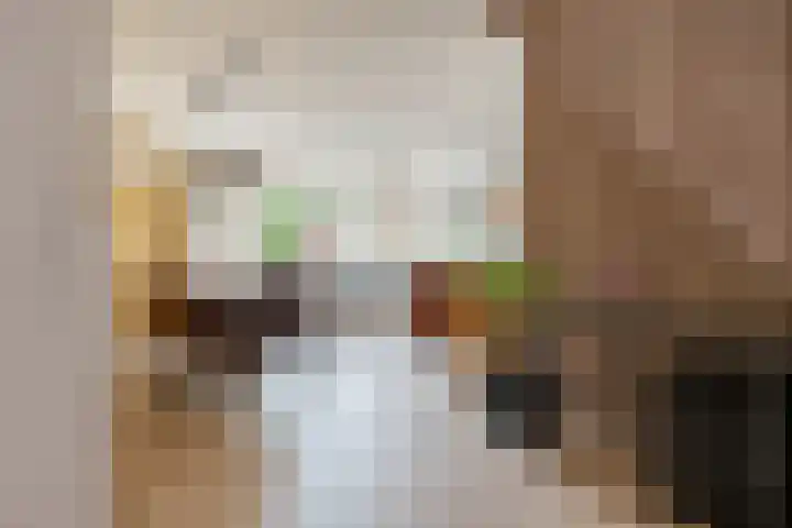 Weverij 36 Gorredijk thumbnail 27