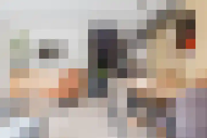 Weverij 36 Gorredijk thumbnail 30