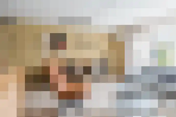 Weverij 36 Gorredijk thumbnail 31