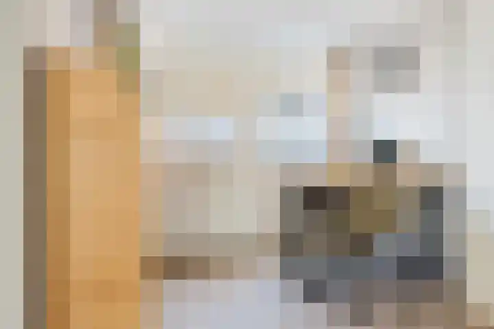 Weverij 36 Gorredijk thumbnail 36