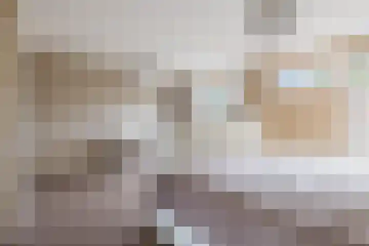 Weverij 36 Gorredijk thumbnail 43