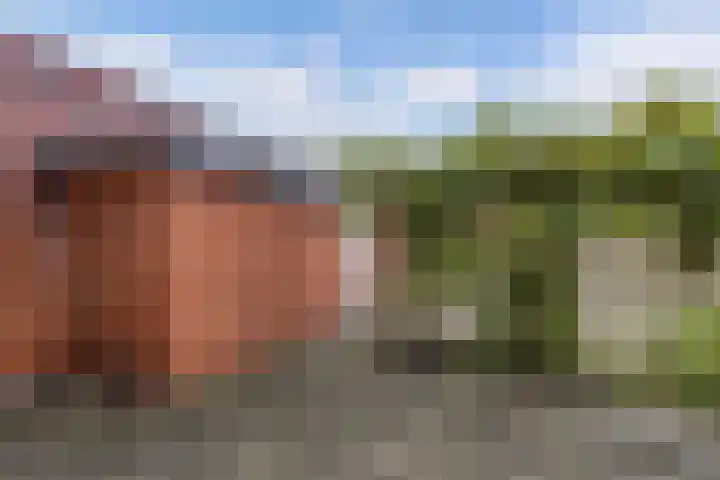 Weversburen 39 Drachten thumbnail 9