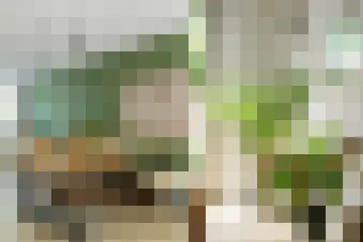 Wevershof 3 Prinsenbeek thumbnail 17