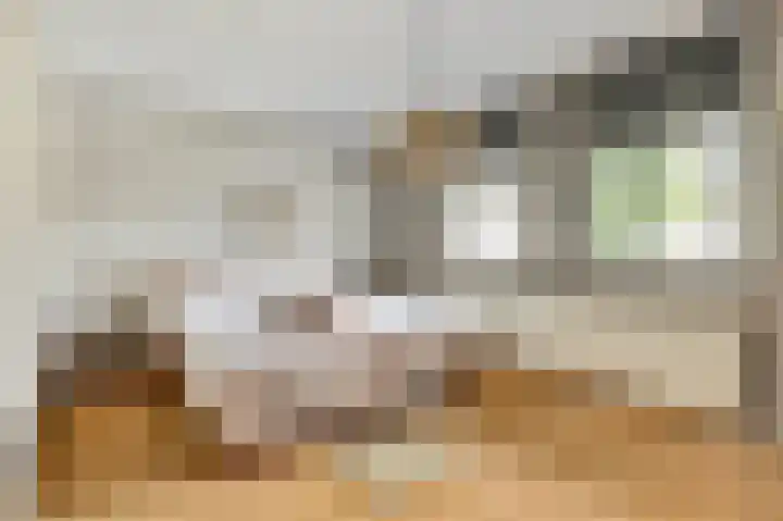 Weverskamp 5 Swalmen thumbnail 4