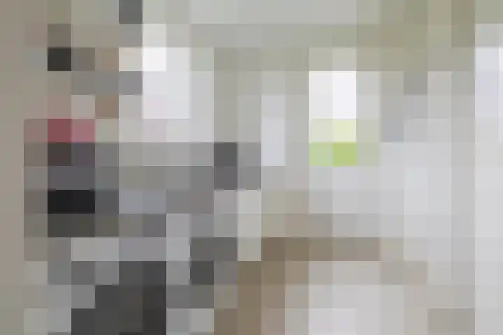 Weverskamp 77 Harderwijk thumbnail 15