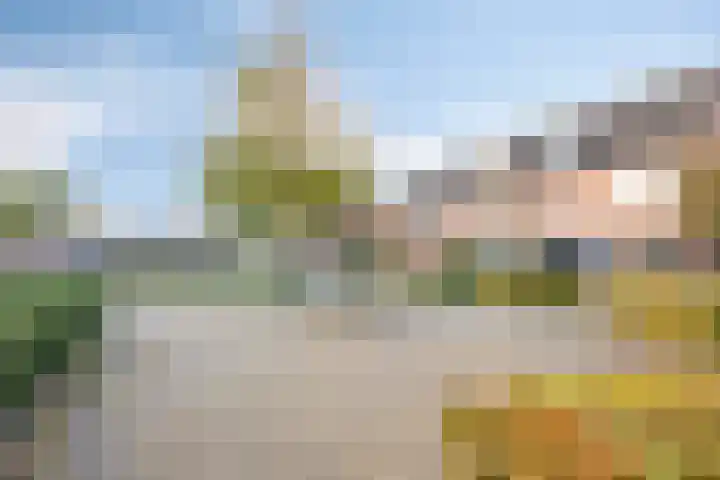 Weverskamp 77 Harderwijk thumbnail 28