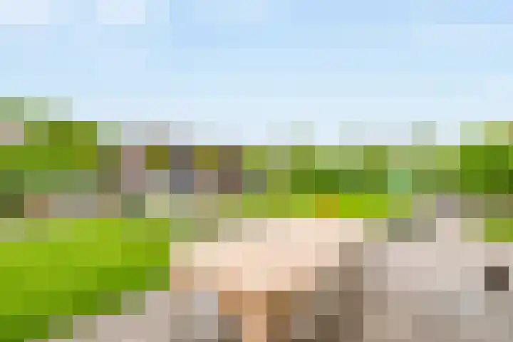 Weverskamp 77 Harderwijk thumbnail 35