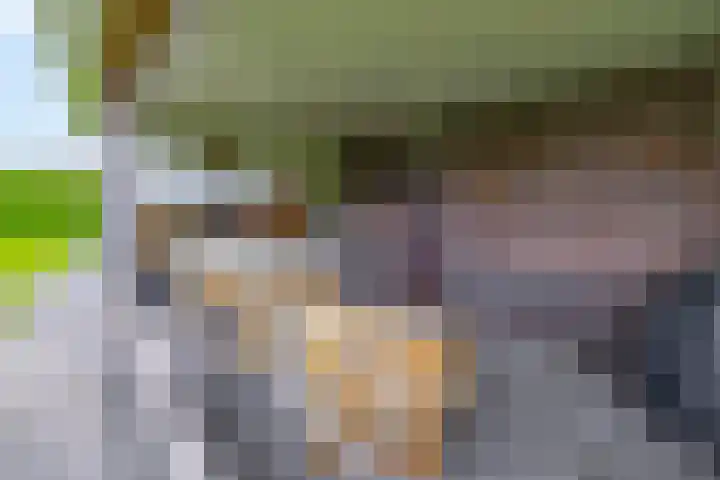 Weverskamp 77 Harderwijk thumbnail 37