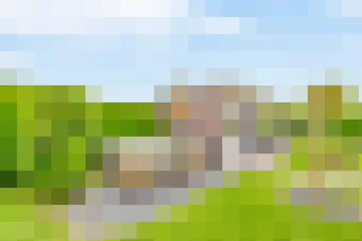 Weverskamp 77 Harderwijk thumbnail 39
