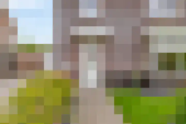 Weverskamp 77 Harderwijk thumbnail 4