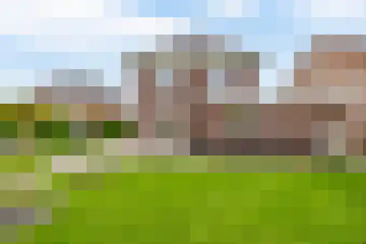 Weverskamp 77 Harderwijk thumbnail 41