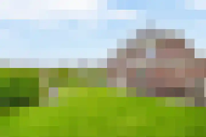 Weverskamp 77 Harderwijk thumbnail 42