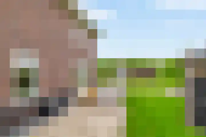 Weverskamp 77 Harderwijk thumbnail 44