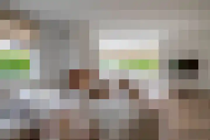 Weverskamp 77 Harderwijk thumbnail 7