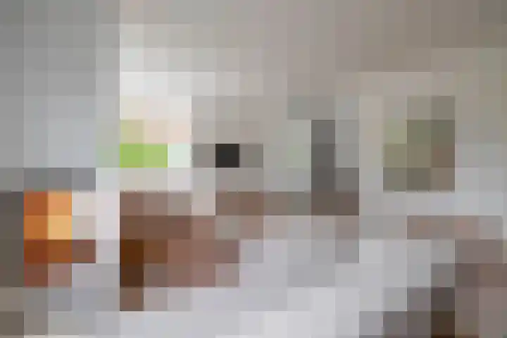 Weverskamp 77 Harderwijk thumbnail 8