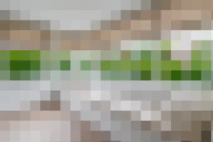 Weverskamp 77 Harderwijk thumbnail 9