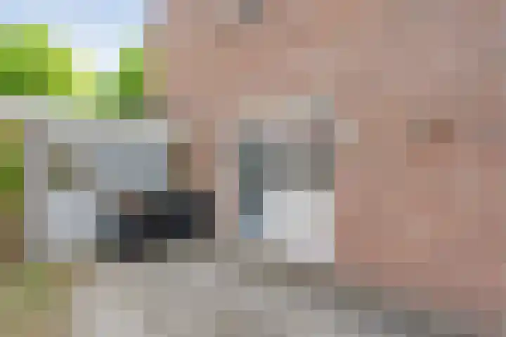 Weverslaan 9 Dwingeloo thumbnail 22