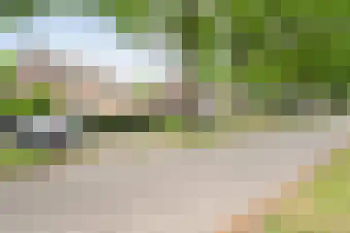 Weverslaan 9 Dwingeloo thumbnail 23