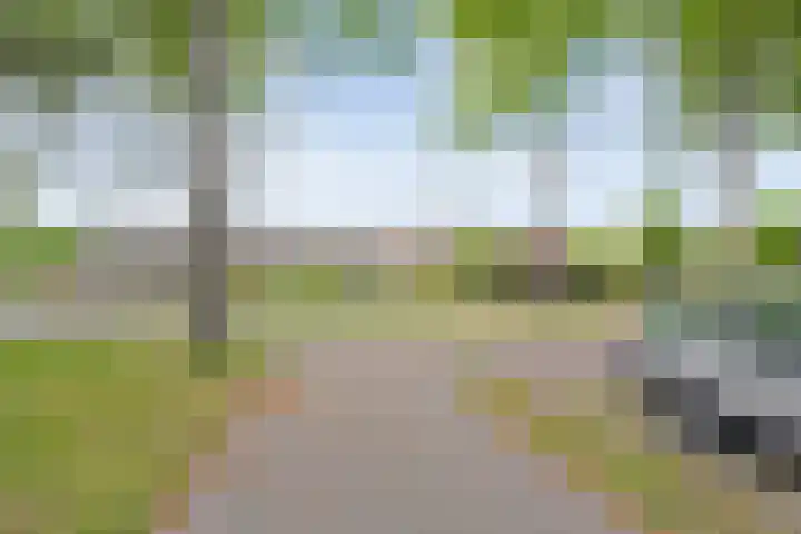 Weverslaan 9 Dwingeloo thumbnail 25