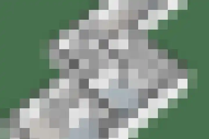 Weverslaan 9 Dwingeloo thumbnail 47