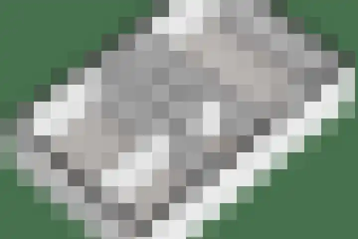Weverslaan 9 Dwingeloo thumbnail 49