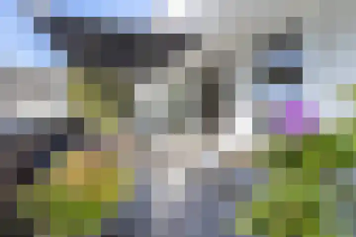 Weversplaats 7 's-Hertogenbosch thumbnail 4