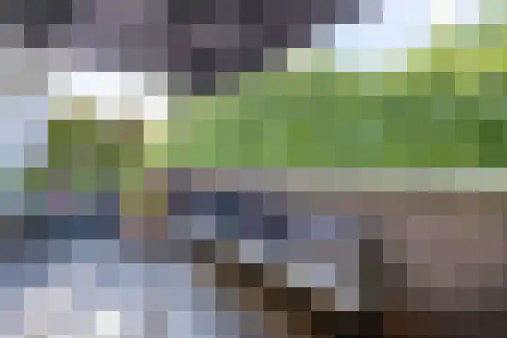 Weversplaats 7 's-Hertogenbosch thumbnail 42