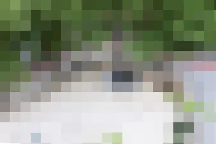 Weversplaats 7 's-Hertogenbosch thumbnail 43