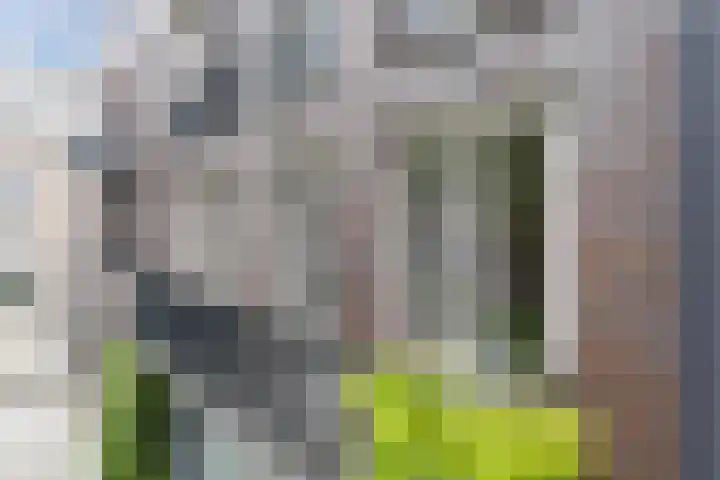 Weversplaats 7 's-Hertogenbosch thumbnail 45
