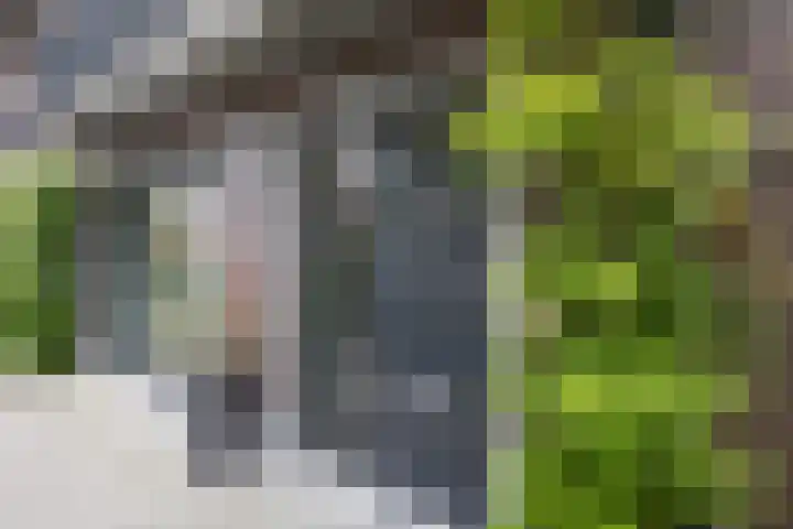 Weversplaats 7 's-Hertogenbosch thumbnail 7