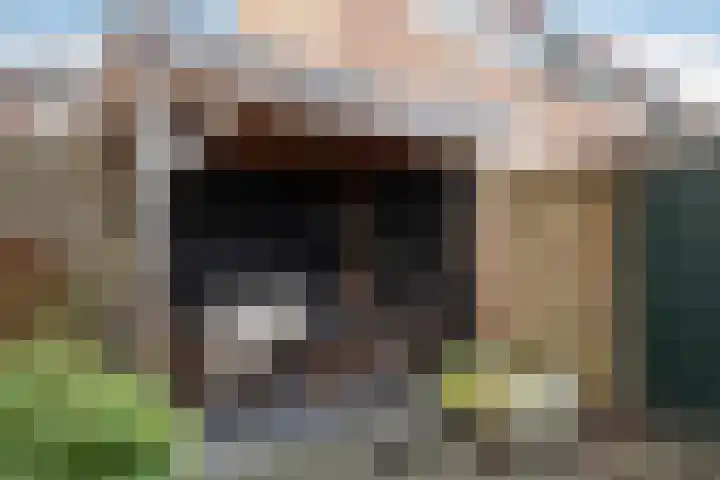Weverssingel 15 Amersfoort thumbnail 28