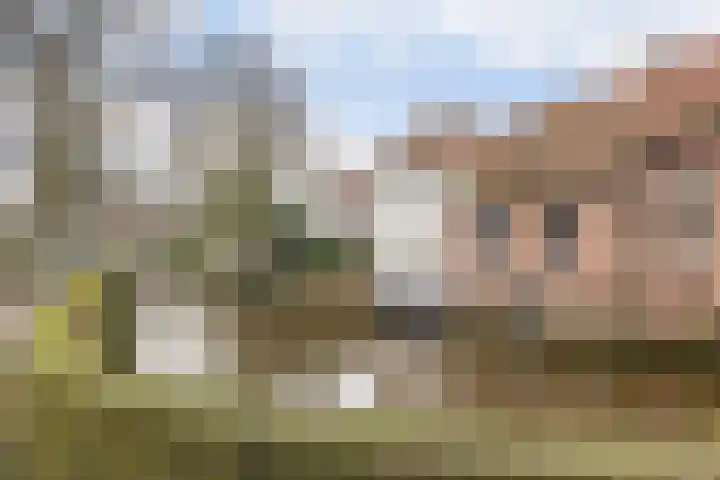 Weverssingel 15 Amersfoort thumbnail 53