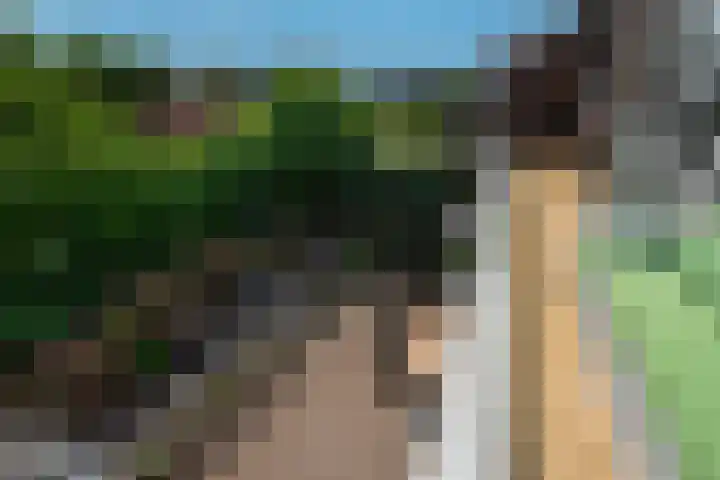 Weversstraat 5 Rhenen thumbnail 19