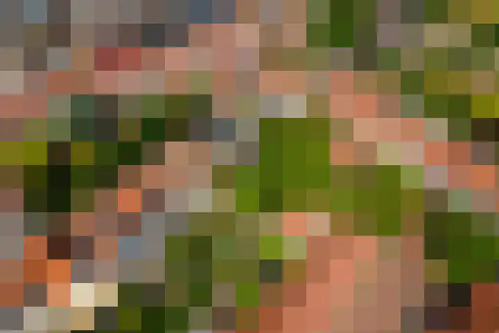 Weversstraat 5 Rhenen thumbnail 37