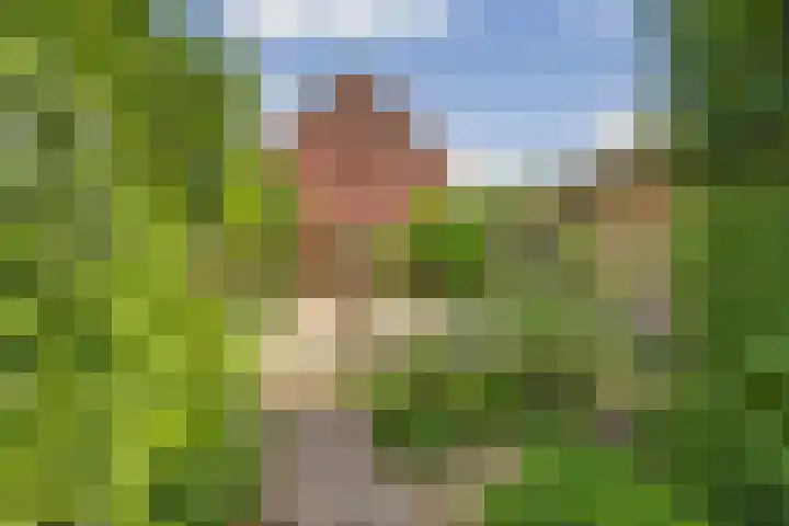 Weverstraat 12 Zelhem thumbnail 18