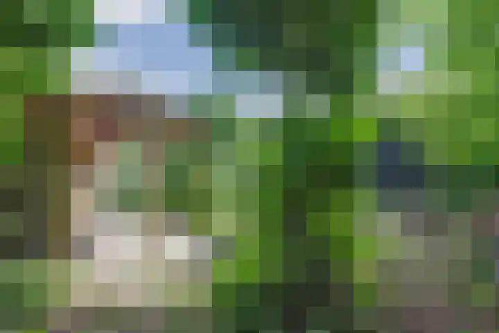 Weverstraat 12 Zelhem thumbnail 4