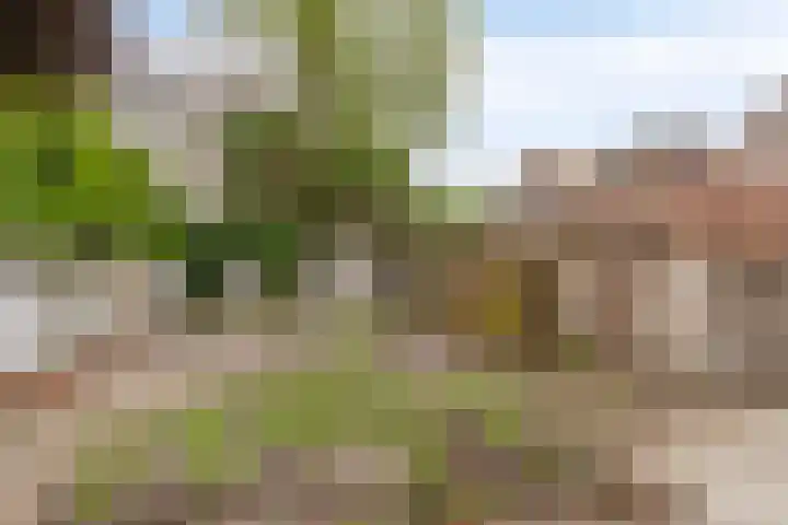 Weverstraat 17 Arnhem thumbnail 30