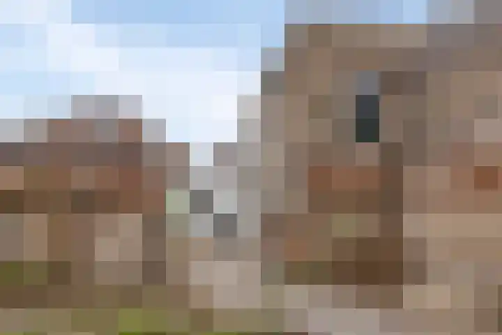 Weverstraat 17 Arnhem thumbnail 31