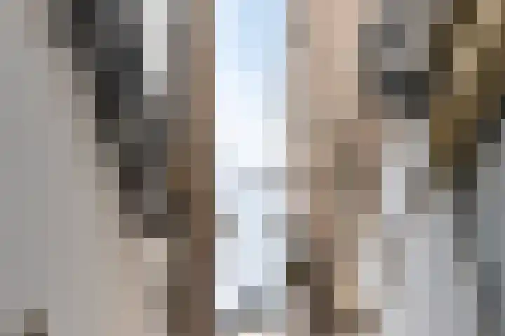 Weverstraat 17 Arnhem thumbnail 8
