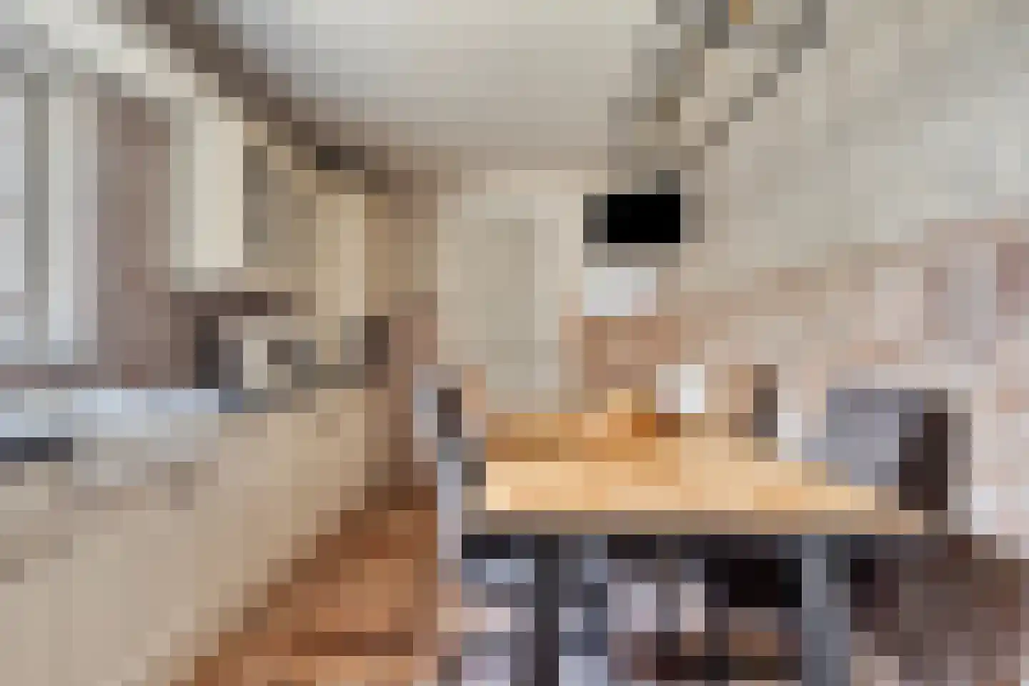 Weverstraat 17 Ossenisse thumbnail 12